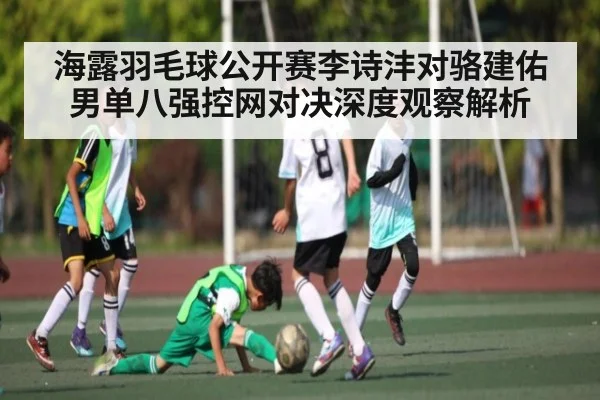 海露羽毛球公开赛李诗沣对骆建佑男单八强控网对决深度观察解析